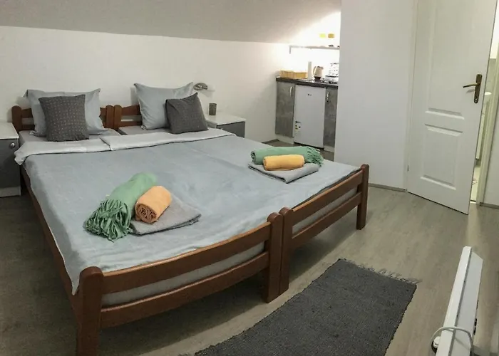 公寓 S. A. L. Prenociste 兹雷尼亚宁